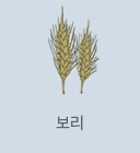 보리