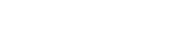 집중라인